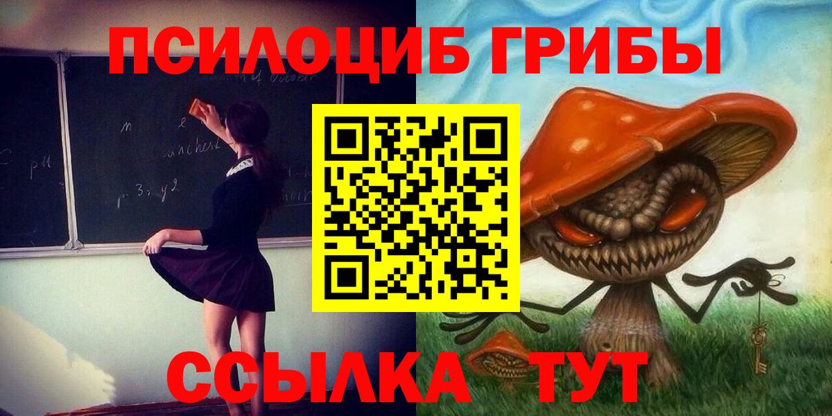 Псилоцибиновые грибы мицелий Югорск